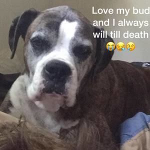 Meet your Posher, Caleb